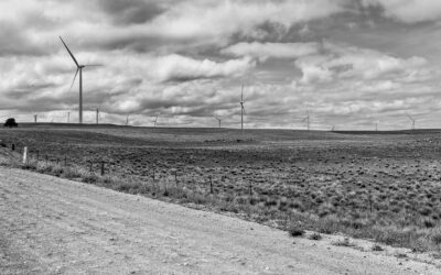 Back Roads to Eden – March 2020